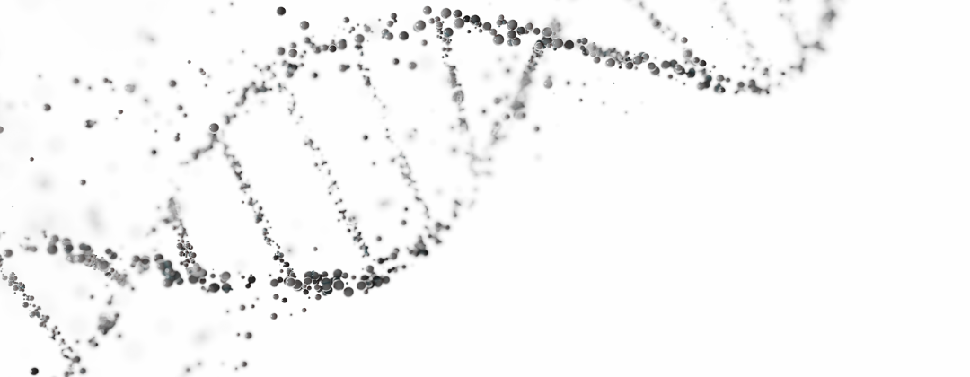 002056ivbhxrv0xr520ppb.png